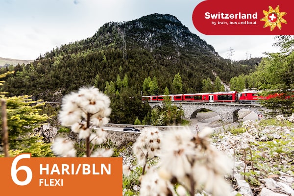 Swiss Travel Pass Flexi 6 hari / 1 bulan